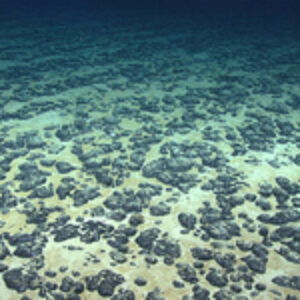 “Dark Oxygen” from Deep-sea Metallic Nodules Could Mean Reassessment of Origins of Life