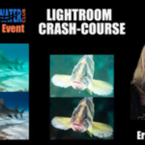 The Underwater Club Event: Lightroom Crash Course with Erin Quigley