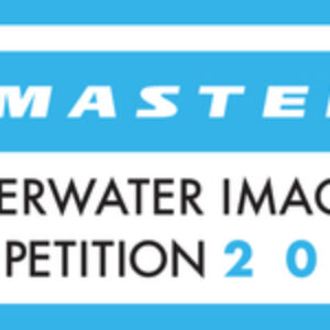 Announcing the DPG Masters Underwater Imaging Competition 2024