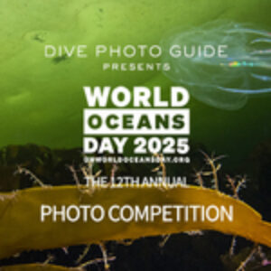 12th Annual Photo Competition for UN World Oceans Day