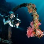 Love Wreck Diving? 10 Great Wrecks To Explore